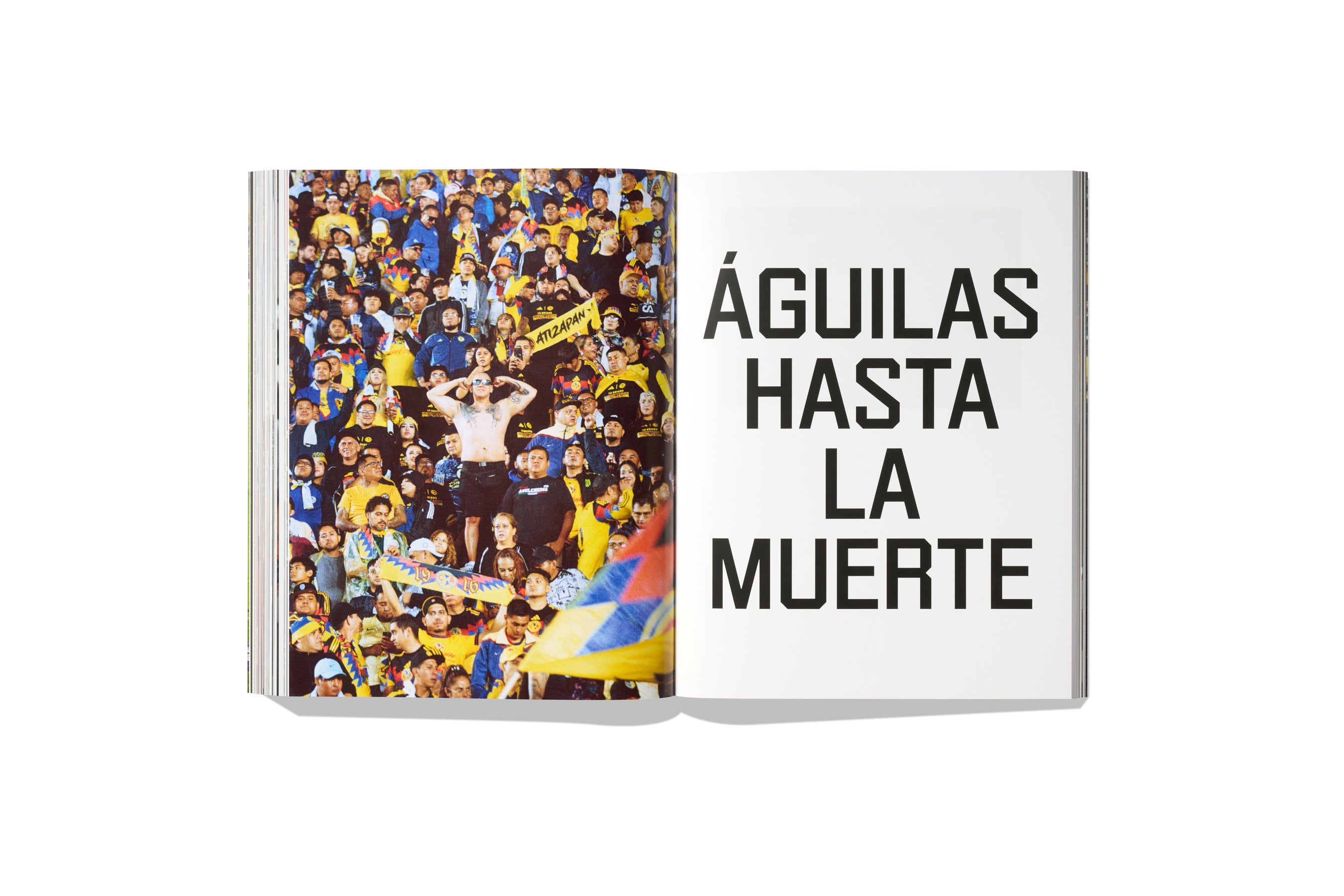 Over Land And Sea / World Cup Fever Bundle